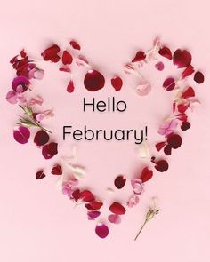 there is a heart shaped frame made up of flowers and the words hello february written on it