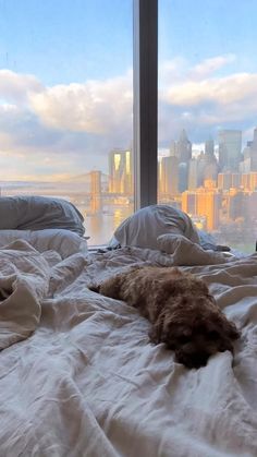 a dog laying on top of a bed in front of a window next to a city