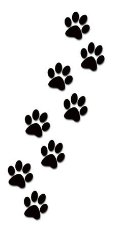 an animal paw print on a white background