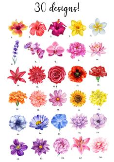 an image of flowers with the words 30 designs