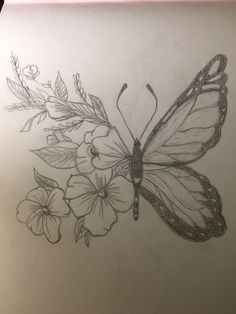 a pencil drawing of a butterfly and flowers