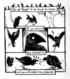 a comic strip with birds on it and the words do not forget to be kind to crow