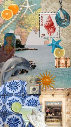 a collage of pictures with dolphins, oranges, and other things on it