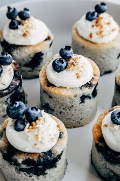 small blueberry cheesecakes with whipped cream and fresh blueberries on the top