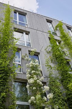 an apartment building with many windows and plants growing on the side