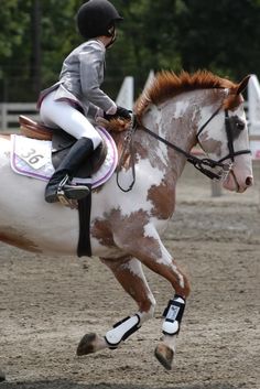 a woman riding on the back of a brown and white horse in an equestrian arena