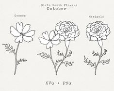 three different types of flowers are shown in this hand drawn drawing style, each with their own name