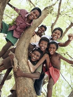 a group of young children standing on top of a tree in the woods smiling at the camera