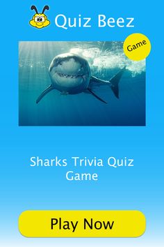 a shark is swimming in the water with words below it that read quiz beez sharks trivia quiz game play now