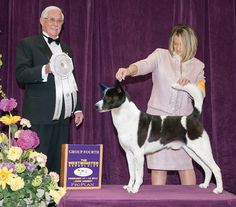 a woman standing next to a dog on top of a purple carpeted stage with an award