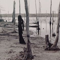 a woman in a black dress standing next to some dead trees on the water's edge