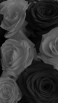 black and white roses are arranged in a bouquet