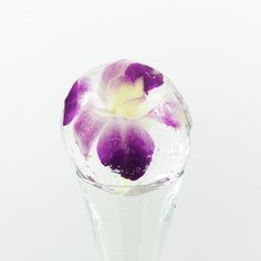 a purple and white flower in a clear vase with water on the bottom that is half filled