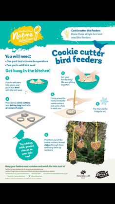 Diy With Kids, Forest Classroom, Nature Crafts Kids, Squirrel Baffle, Make A Bird, Make A Bird Feeder, Seed Balls, Wildlife Day