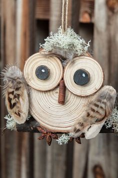 an owl ornament hanging from a tree branch