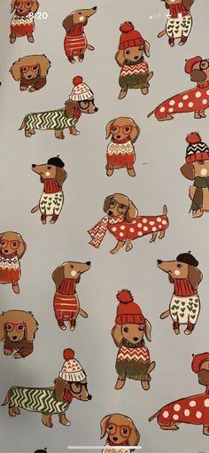 an image of dogs in sweaters and hats on a sheet of paper with the words, dachshund