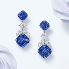 Harry Winston • Life is always sweeter with Harry Winston. Indulge in a pair of stunning earrings featuring 4 blue cushion-cut sapphires weighing a total of 27.73 carats and 6 diamonds weighing 5.033 carats.  Discover more exquisite earrings: https://hwin.st/2uEQibE Harry Winston Sapphire, Winston Blue, Blue Sapphire Jewelry, Basic Jewelry, Premier Designs Jewelry, Blue Jewelry, Sapphire Earrings, Sapphire Jewelry