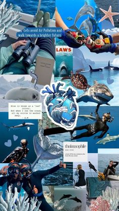 the collage shows people in scuba gear and various sea creatures, including dolphins, sharks,