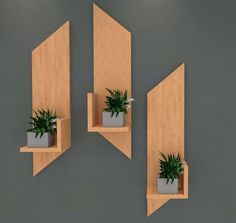 two wooden shelves with plants in them on top of the wall next to each other