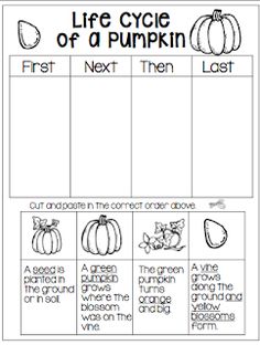 the life cycle of a pumpkin worksheet is shown in this printable version