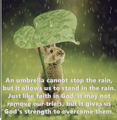 a rabbit holding an umbrella in the rain with a quote from god's strength to overcome them