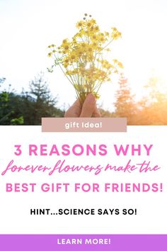 someone holding flowers with the words 3 reasons why flower - lovers make the best gift for friends hint science says so