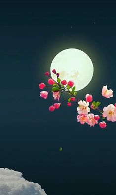 a full moon and some pink flowers on a branch in the night sky with clouds