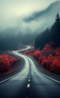 an empty road with red trees on both sides and fog in the sky behind it