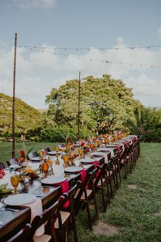 a long table is set up for an outdoor dinner