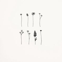 four flowers are drawn in black ink on a white paper with the word love written below them