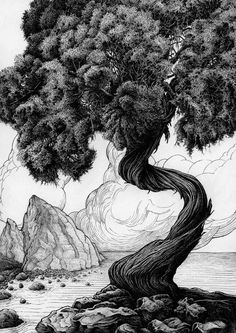 a pencil drawing of a tree on the shore with rocks and water in the background