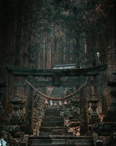 the stairs lead up to an ancient shrine in the woods with trees and rocks on either side