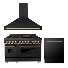 a black stove and oven with gold trimmings on the front, side by side