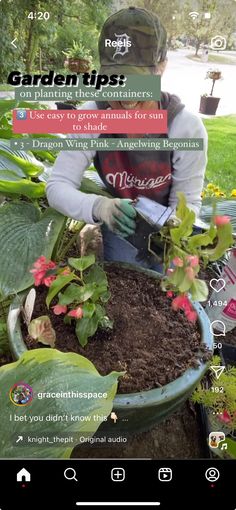 a man is gardening in the garden with flowers and plants on his tabletop screen