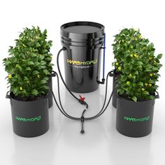 three buckets with plants in them on a white surface, one has a hose attached to it