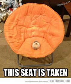 an orange chair sitting on top of a floor next to a dog laying in it