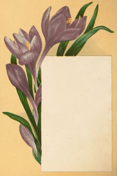 a painting of purple flowers with green leaves in front of a white rectangle on a yellow background