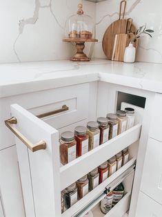 an open cabinet with spices and condiments in the bottom drawer, next to a counter