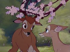 two deer standing next to each other under a tree with pink flowers on its head