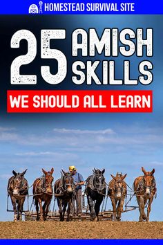 Amish Tools, Amish Skills, Amish Hacks, Time Sayings, Pioneer Skills Off The Grid, Survival Storage, Cold Weather Hacks, Amish Farming, Diy Homesteading