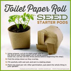 an advertisement for toilet paper roll seed starter pods