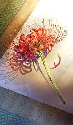 a flower that is sitting on top of a piece of paper next to a knife