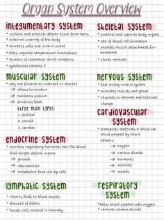 the organ system overview chart with words on it