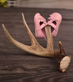 a pair of pink shoes sitting on top of a antler