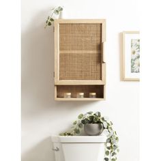 a white toilet sitting next to a wooden shelf