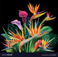 tropical flowers and leaves on a black background