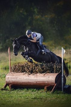 a person jumping a horse over an obstacle in the middle of a grass covered field