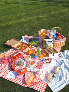 a picnic is set out on the grass with food and drinks laid out around it