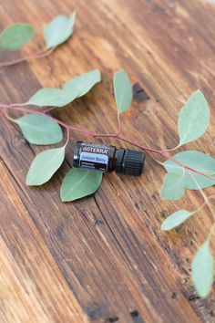 Juniper Berry is a natural cleanser. It supports healthy kidney and urinary tract function*, cleanses and detoxifies,* and acts as a natural skin toner. Natural Skin Toner, Juniper Berry Essential Oil, Healthy Kidneys, Natural Cleanser, Juniper Berry, Skin Toner, Urinary Tract, Doterra Essential Oils, Diffuser Blends