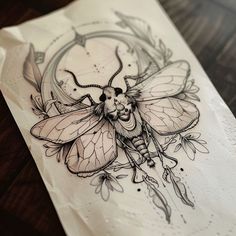 Bright Death Moth Tattoo Sketches Moth Rose Tattoo, Deathhead Moth Drawing, Spooky Moth Tattoo, Neotrad Rose, Goth Sternum Tattoo, Dark Academia Tattoo, Moth Tattoo Ideas, Ant Tattoo